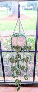Let’s Hang- Crochet Hanging Plant
